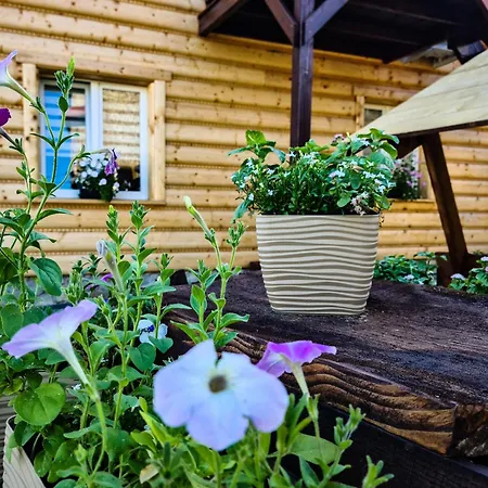 Domki Na Zaciszu Zawóz Exterior foto