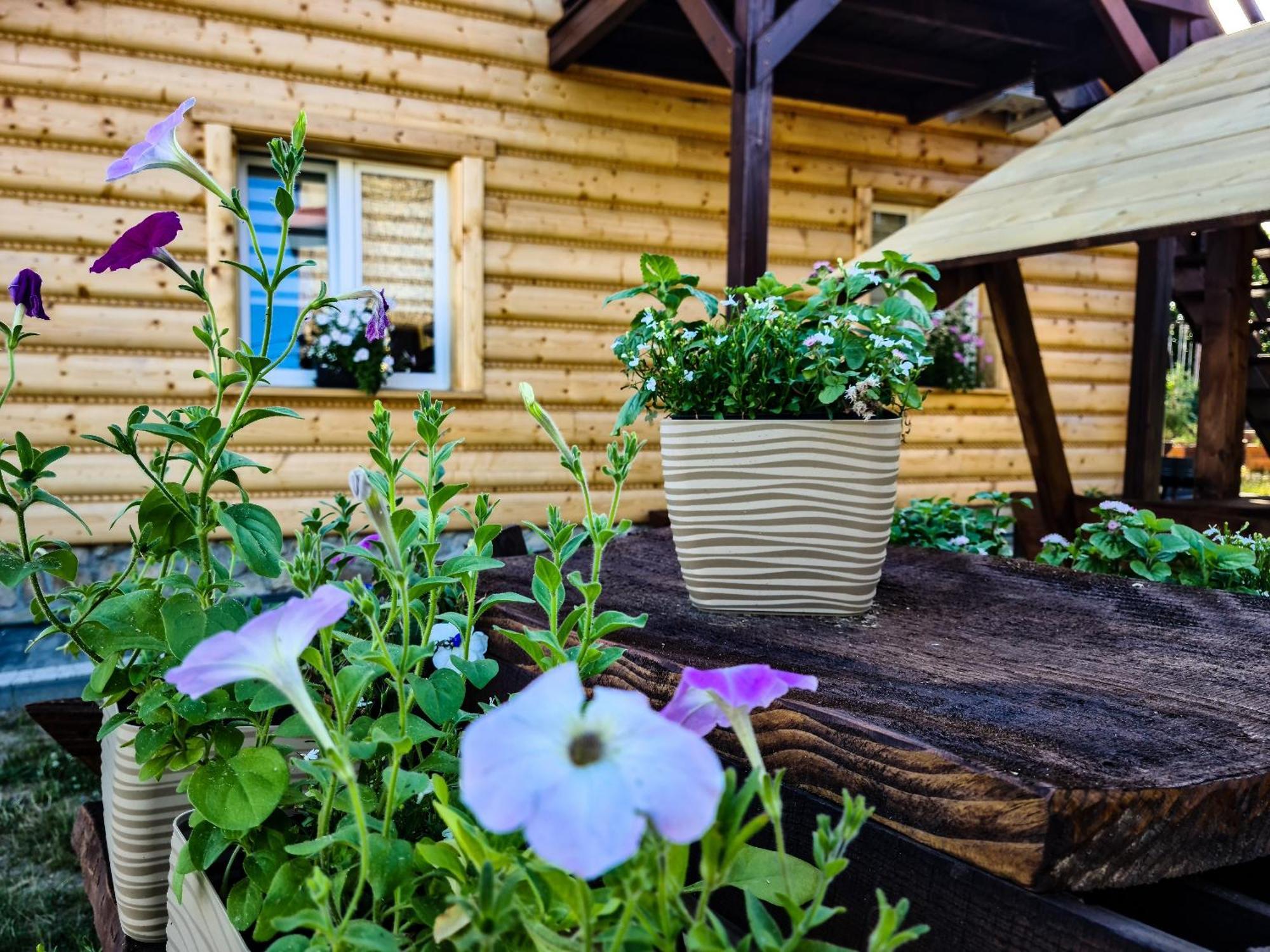Na Zaciszu Holiday home *